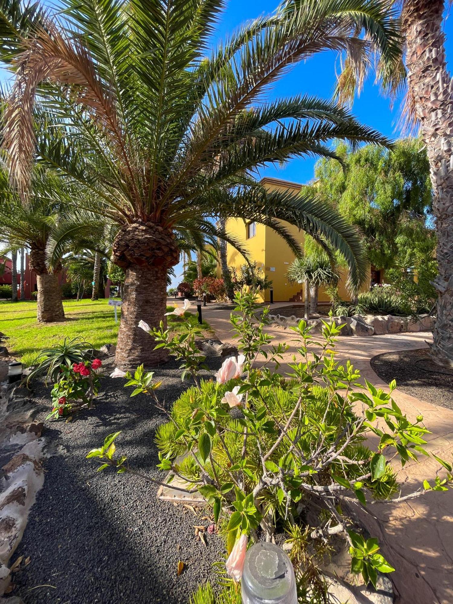Karol Home By Best Holidays Fuerteventura Корралехо Екстер'єр фото